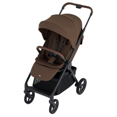 Детская прогулочная коляска Anex Ride (RD-04) Nutty